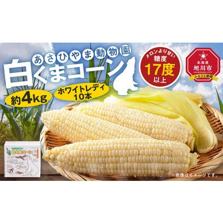 ふるさと納税 あさひやま動物園しろくまコーン約4kg(ホワイトレディ10本)2024年8月下旬〜発送開始予定 【 とうもろこし 北海道 糖度.. 北海道旭川市