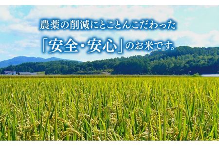 特別栽培米ゆめぴりか 5kg・旭川産ななつぼし 5kg 計10kg