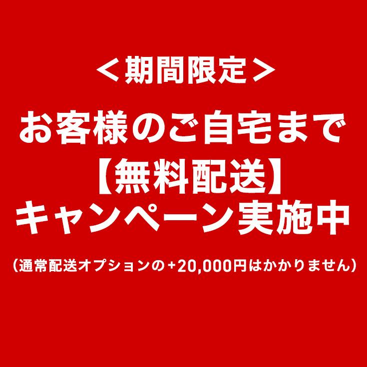 ＜即納 12月限定 直前割＞電動除雪機(大容量バッテリー4個 充電器2個セット)SNC408