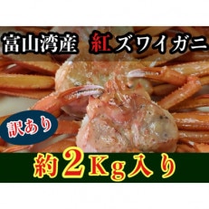 魚卸問屋のベニズワイガニ　2kg