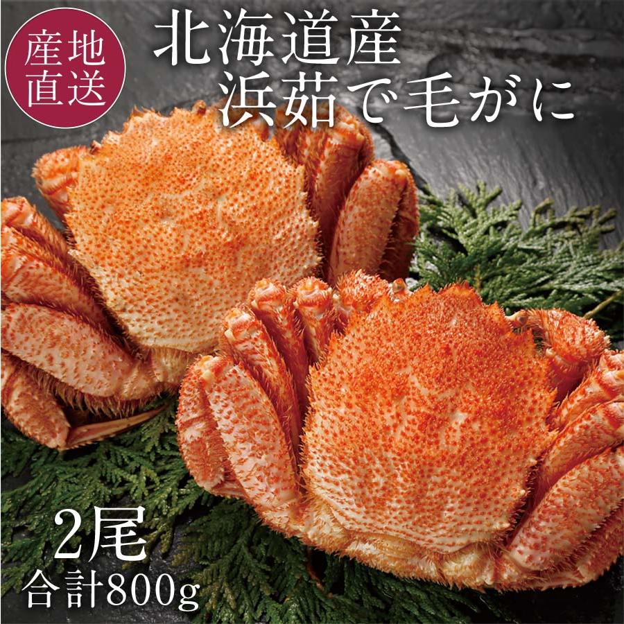 本日クーポンで10％OFF 北海道産 毛ガニ 浜茹で毛蟹 ギフト 400g 2尾