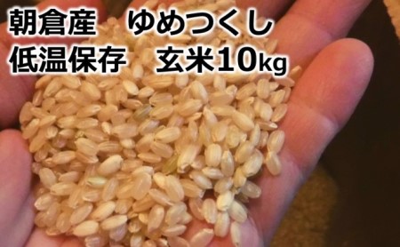 米 10kg 玄米 ゆめつくし