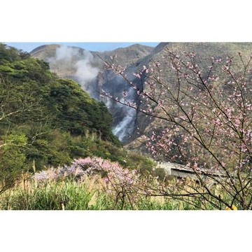 早鳥折$500．台北旅遊｜陽明山國家公園花季.北投社三層崎公園.士林官邸公園.淡水吹風二日｜中部出發_26TN125R59