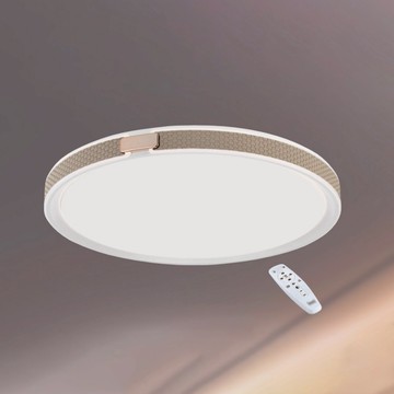 74W 遙控吸頂燈 B102-13-64281