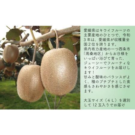 ふるさと納税 愛媛県西条産「キウイフルーツ」（JA周桑）4Lサイズ12玉入り 愛媛県西条市