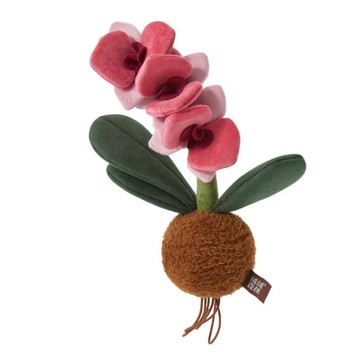 PlushF-植物-玫紅色蝴蝶蘭