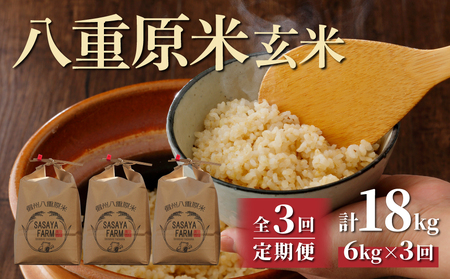 八重原米6kg（2kg×3袋）玄米