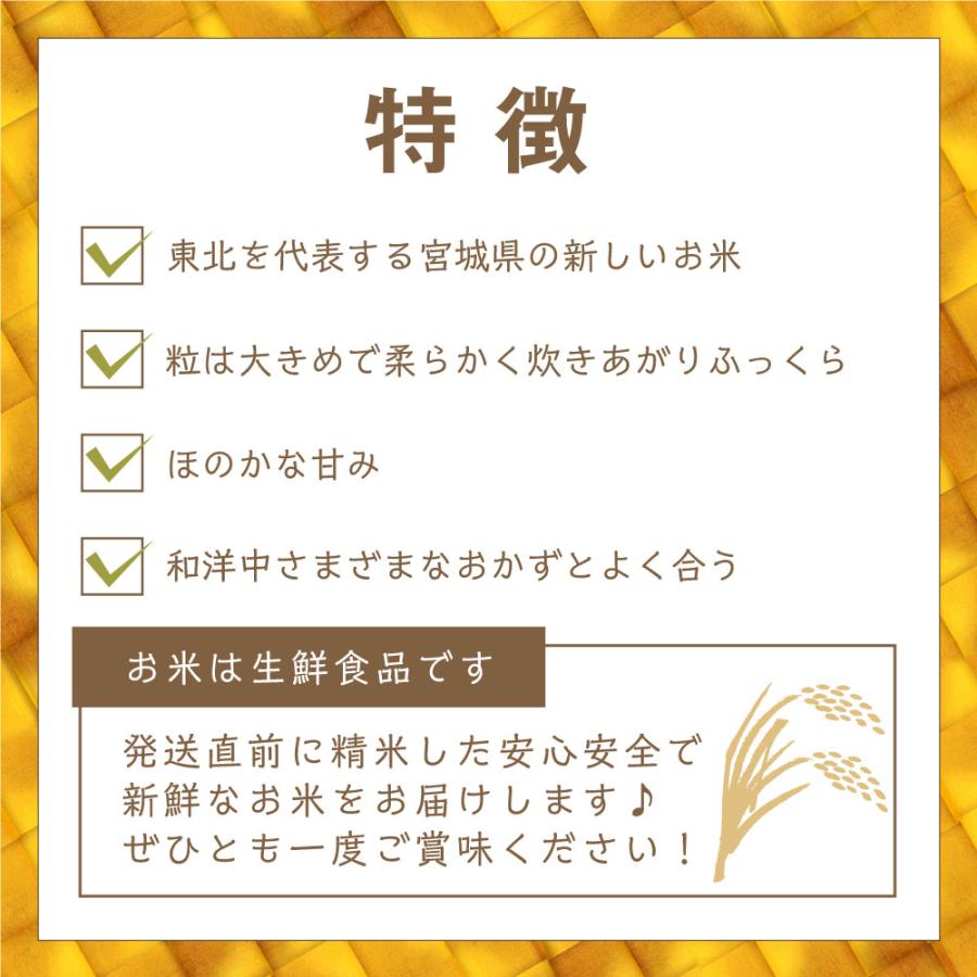 令和5年度 新米 お米 10kg 萌えみのり 米 5kg 2袋セット 宮城 国産 白米 日本産