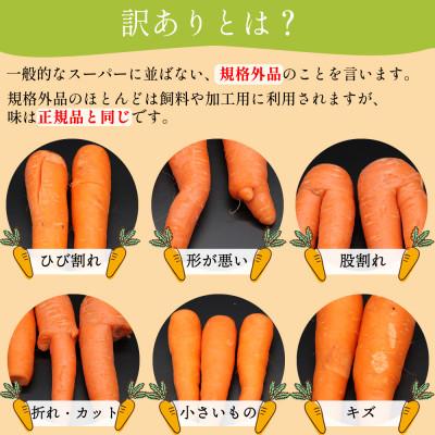 ふるさと納税 島原市  堀農園のこだわり人参 約5kg