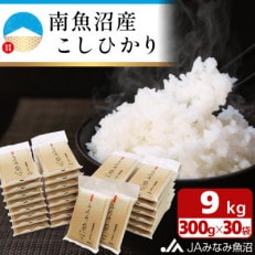 計量いらずで簡単・便利「南魚沼産こしひかり真空2合×30袋入」(精米)