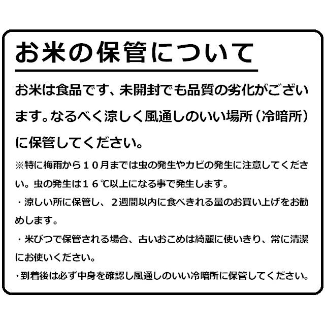 お米　白米　福岡県産米　元気つくし10ｋｇ　家庭用米