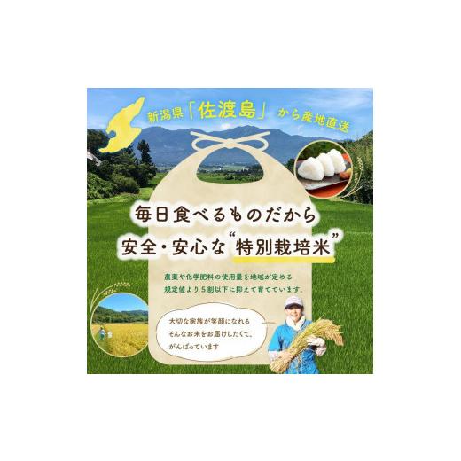 ふるさと納税 新潟県 佐渡市 特別栽培米 佐渡島産コシヒカリ 玄米5Kg×1袋