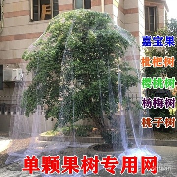 🌸臺灣熱賣🌸新款果樹防鳥罩嘉寶果枇杷櫻桃藍莓果園尼龍防護網菜地陽臺保護罩 防蟲網 樹防蟲防鳥網罩 櫻桃楊梅石榴網