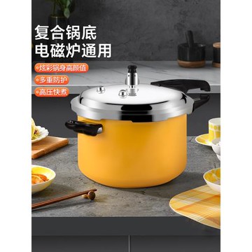 雙喜高壓鍋燃氣家用電磁爐通用小型迷你戶外加厚防爆壓力鍋1/2人