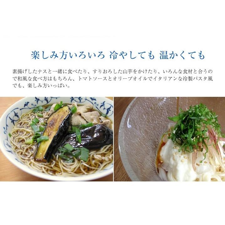 盆栽 中元 小豆島手延べそうめん 苔盆栽 納涼セット 素麺 涼を贈る 夏ギフトに そうめん 和