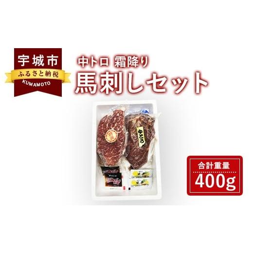 ふるさと納税 熊本県 宇城市 馬刺しセット 中トロ 霜降り 400g