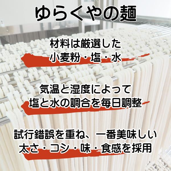 讃岐うどん 半生 2人前 かけうどん つゆ付 ご自宅 在宅