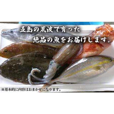 ふるさと納税 贅沢鮮魚セット約3kg 鮮魚 刺身 魚介類 詰め合わせ 五島市 五島FF [PBJ006] 長崎県五島市