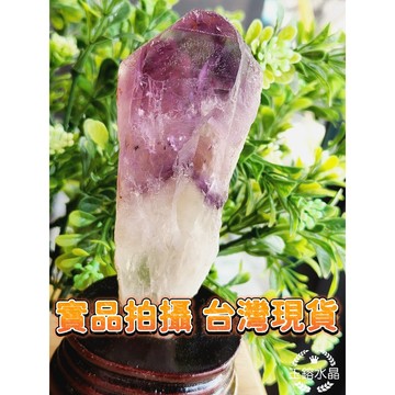 玉鎔水晶-骨幹紫水晶小權杖共生海膽花 實品拍攝 台灣現貨 紫水晶權杖原礦 紫水晶權杖骸骨骨幹原礦石 紫水晶柱 紫晶權杖