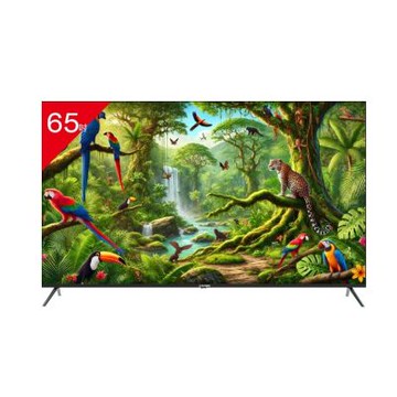 TATUNG大同 65吋4K連網智慧顯示器UH-65UG900A 含標準安裝