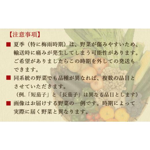 ふるさと納税 長崎県 雲仙市 定期便 12回コース 贅沢 野菜 セット どっさり 16品目以上 季節の野菜 フルーツ キノコ 詰め合わせ   吉岡青果   長崎県 雲仙市[i…