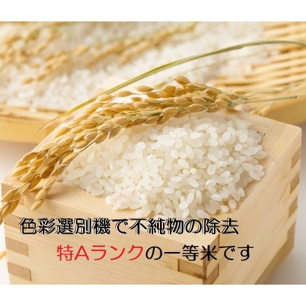 コシヒカリ 令和５年新米 玄米：残留農薬ゼロ(検査証明書付)  30k エコ栽培 能登里山の米