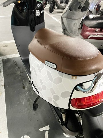 寶石(珍珠白) gogoro系列車套 防刮車套