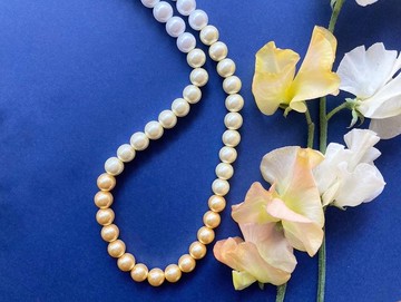 珍珠項鍊/黃色/母親節/禮物 /Mimoza pearl