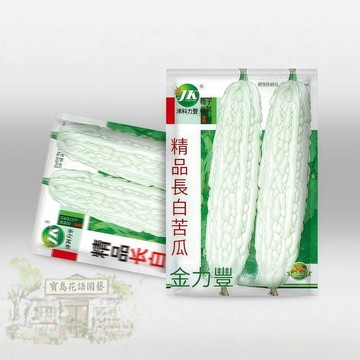 【可開收據】原廠大包裝 長白苦瓜種子（約10粒）涼瓜種子 春秋爬藤大型瓜果農家蔬菜種子耐熱新手好養/原裝包對版