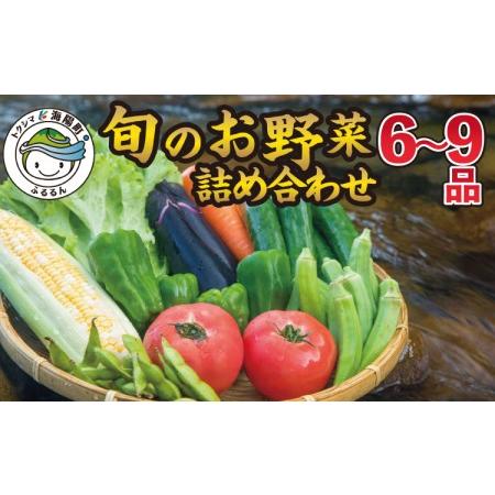 ふるさと納税 阿波の国海陽町　旬のお野菜詰め合わせセット６‐９品 徳島県海陽町