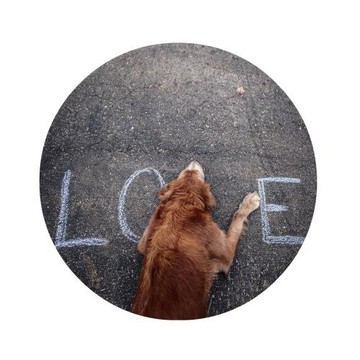 地毯地墊毛氈圓地墊車用地毯浴室防水橡膠墊Pet dog腳墊批發