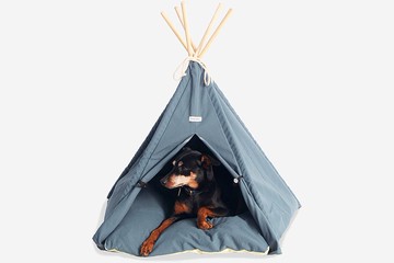 印地安寵物帳篷