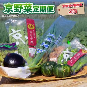 ふるさと納税  京野菜 野菜 6種 程度 定期便 2回 野菜 詰め合わせ 野菜 京都 野菜セット 季節 旬 栄養食 栄養野菜 九条ネギ 野菜 万願寺 .. 京都府