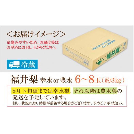 ふるさと納税 福井県 あわら市 福井梨 3kg 6〜8玉入 《幸水梨 豊水梨どちらかのお届け！》 ／ 期間限定 果物 フルーツ 産地直送 旬 お取り寄せ ※…