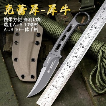 【原野】氪雷犀 射線AUS一體直刀野外露營餐刀防身刀具戶外便攜戰術刀