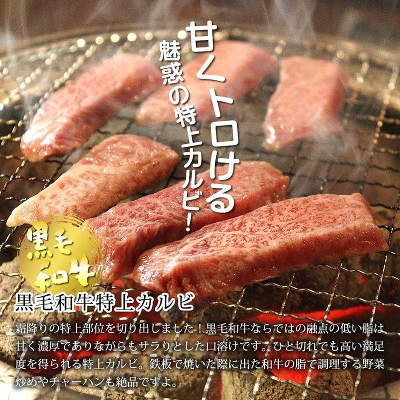 リッチな特上焼肉セット（2?3人前 560g）黒毛和牛の特上ハラミ＆特上カルビ入り