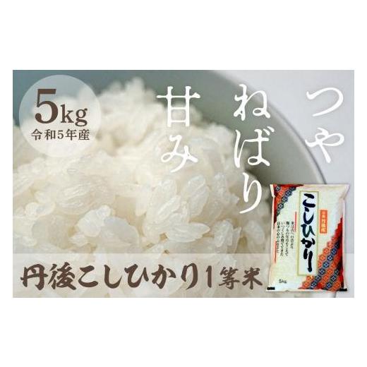 ふるさと納税 京都府 京丹後市 令和5年産 新米 1等米 丹後こしひかり 5kg