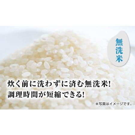 ふるさと納税 令和5年産 新米 佐賀県産 伊勢ヒカリ（イセヒカリ） 精米（無洗米） 5kg 武雄市 鶴ノ原北川農園[UDL004] 佐賀県武雄市