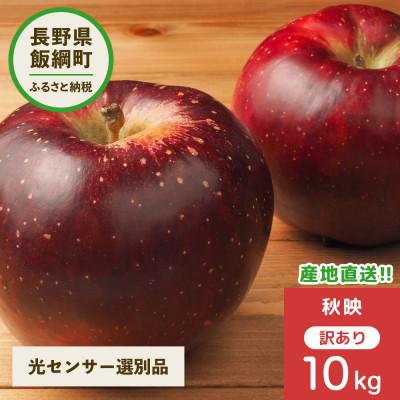 ふるさと納税 飯綱町 2024年10月以降出荷 訳あり りんご 秋映 10kg 光センサ選果 糖度12度以上 24〜40玉