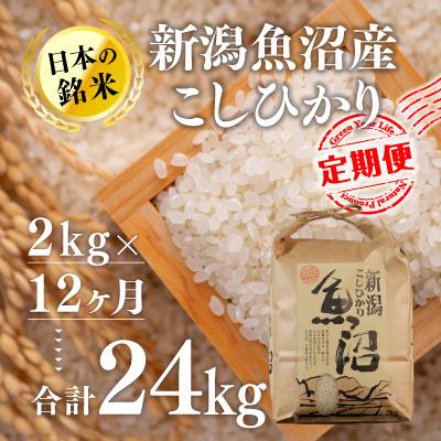 ふるさと納税 十日町市 2024年1月発送開始『定期便』新潟魚沼産コシヒカリ(精米)2kg 全12回