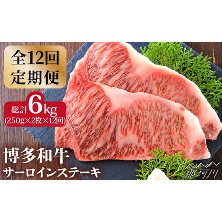 ふるさと納税 博多和牛 牛肉 サーロイン ステーキ 500g（250g×2枚）＜株式会社MEAT PLUS＞那珂川市 定期便 牛肉 肉 黒毛.. 福岡県那珂川市