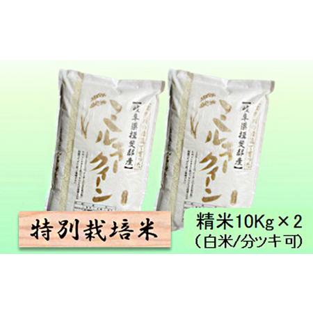 ふるさと納税 特別栽培米★精米20kg（白米 5分 7分ツキ可） 玄米は別に出品 白米 岐阜県池田町