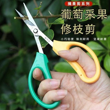 修枝剪 葡萄專用不鏽鋼翹頭剪刀 園藝花藝樹枝花枝採果剪