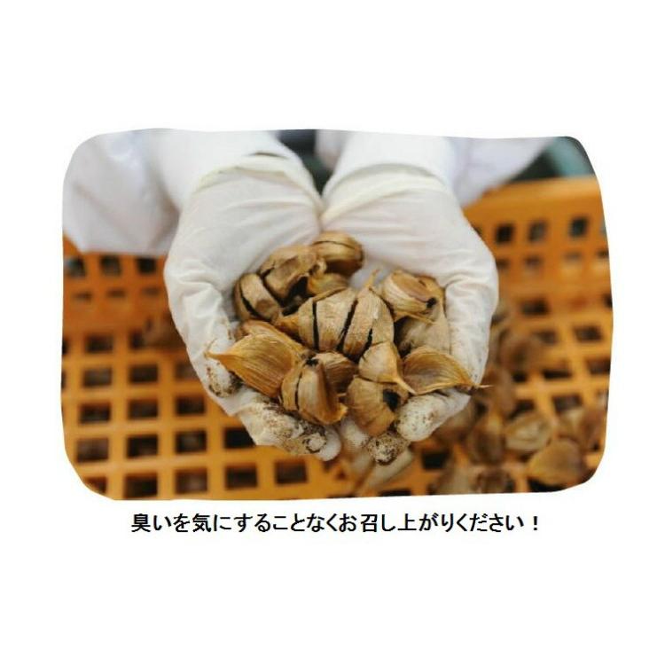 九州・四国産熟成黒にんにく120ｇ×２袋　31粒タイプ