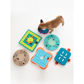 酷極玩具kyjen寵物邊牧幼犬獨處漏食盆嗅聞磨牙訓練狗狗益智