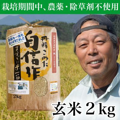 ふるさと納税 芦屋町 玄米 農薬不使用(栽培期間中)  福岡県芦屋町産コシヒカリ 〈玄米〉2kg