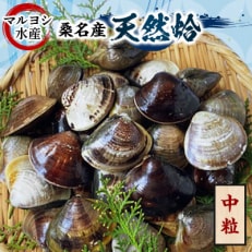 マルヨシ水産　桑名産中粒天然蛤1.3kg(約40個)b_65