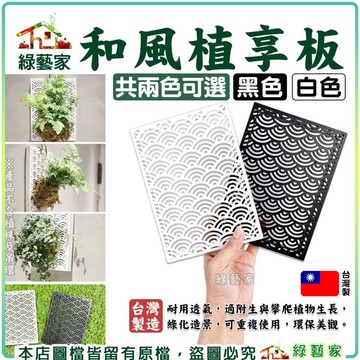 【綠藝家】和風植享板 植床板 定植板 鹿角蕨 植物上板相關資材 附生植物板材 鹿角蕨植板育苗、種植專用容器