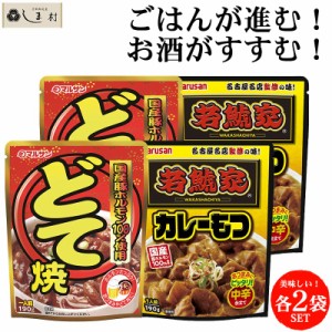 マルサンアイ どて焼・カレーもつ 各2袋セット どて焼き 土手煮 もつ煮 名古屋 国産豚 ホルモン レトルト 惣菜 もつ おかず お弁当 お