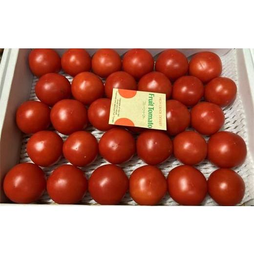 ふるさと納税 高知県 高知市 高知県高知市産 果物トマト フルーツルビー 約2kg
